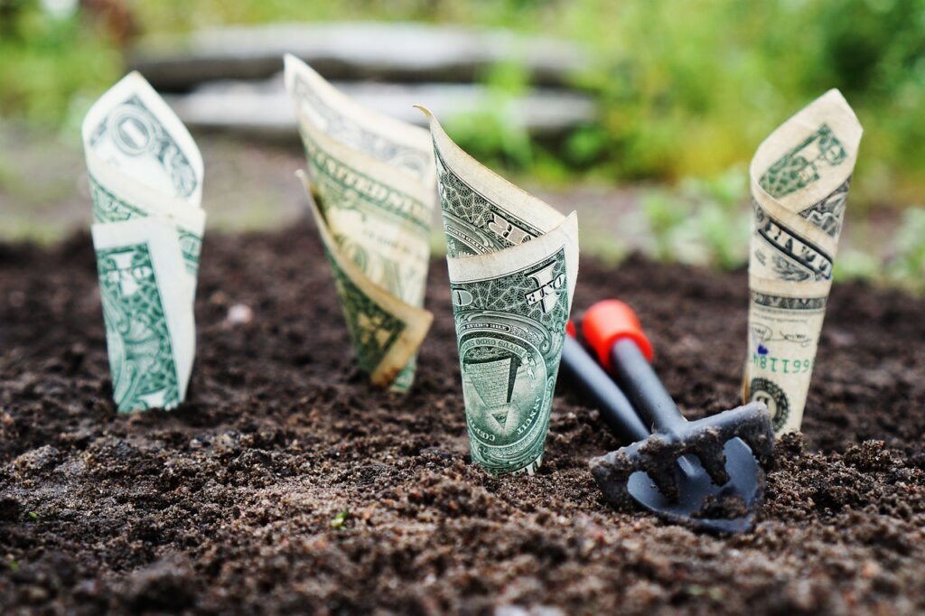 money, grow, interest, save, invest, shares, funds, the bank, finance, banknotes, financial, savings account, bank account, money, money, money, money, money